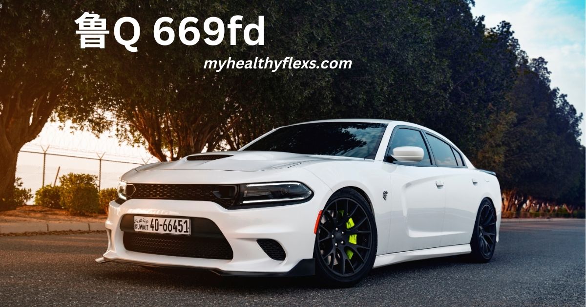 鲁Q 669fd