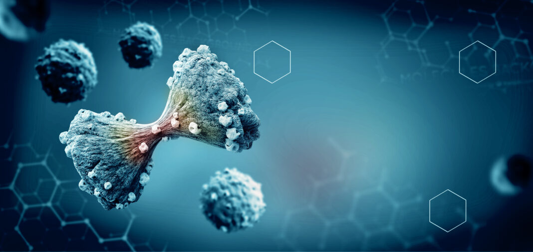 The Intersection of Genetics and Cancer