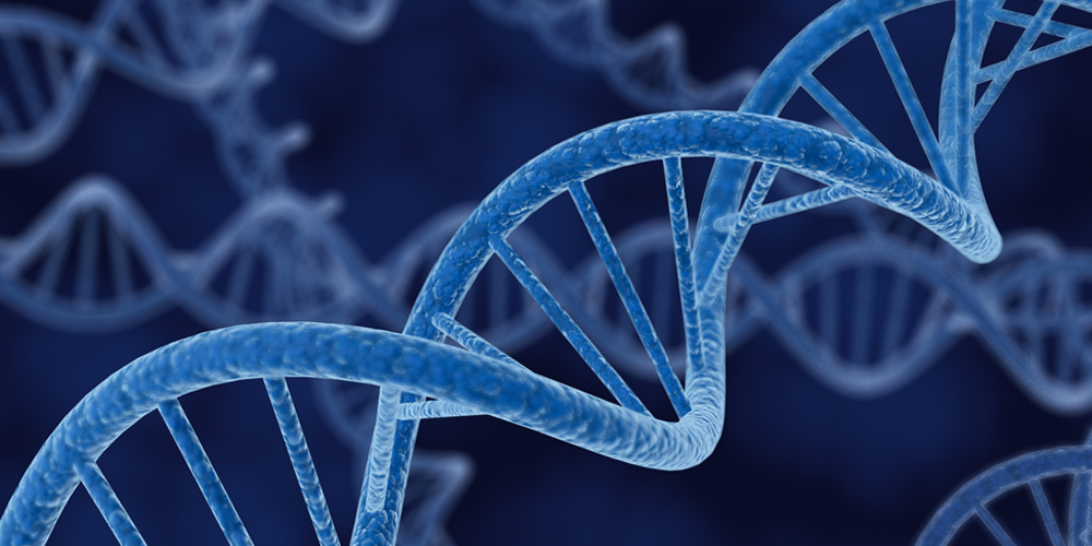 Understanding the Long-Term Impact of Esophageal Cancer on Patients’ Daily Lives