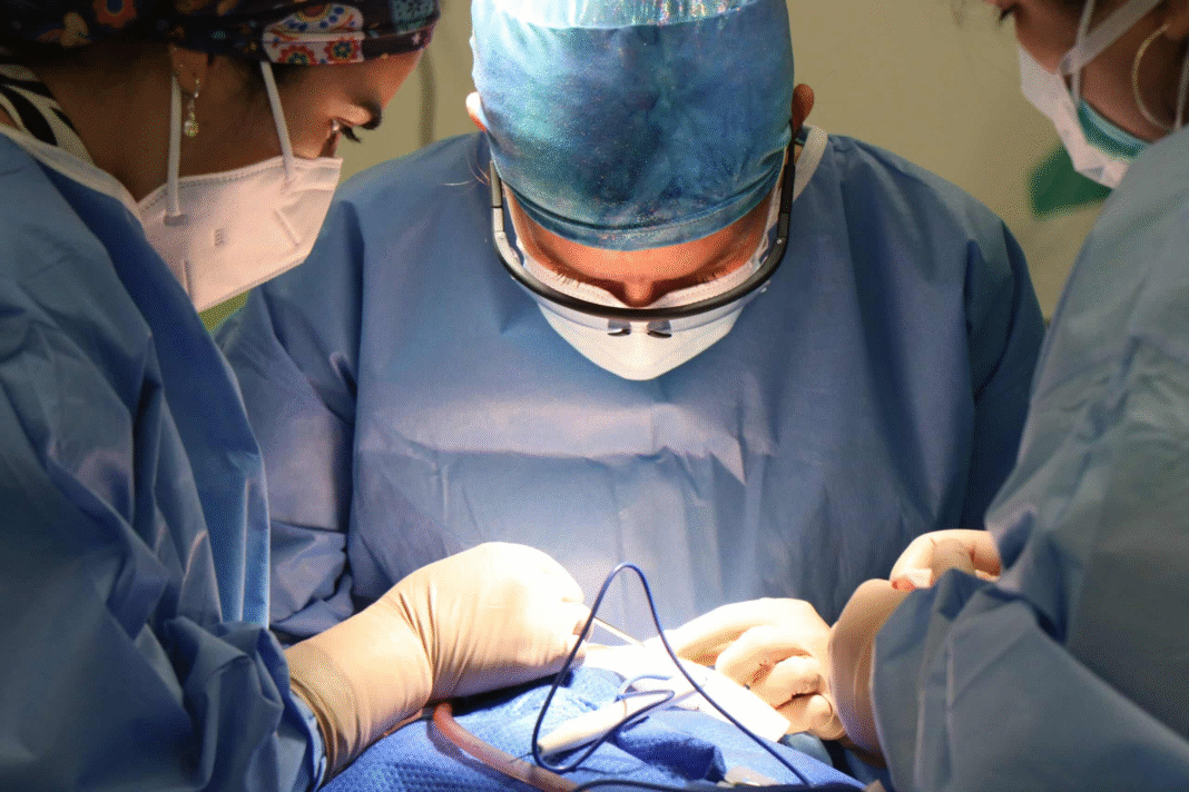 Difference Between Cardiology and Cardiovascular Surgery