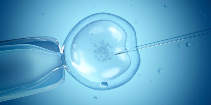 What You Need to Know About IVF and Genetic Testing