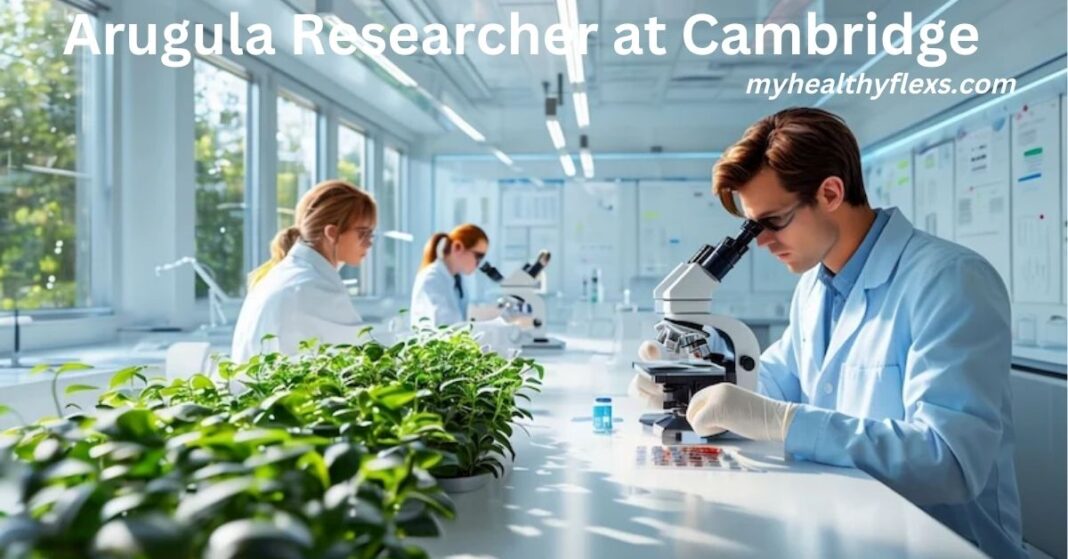 Arugula Researcher at Cambridge